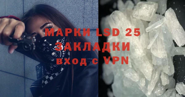 гашик Нефтекумск