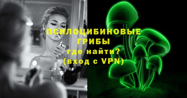 гашик Нефтекумск