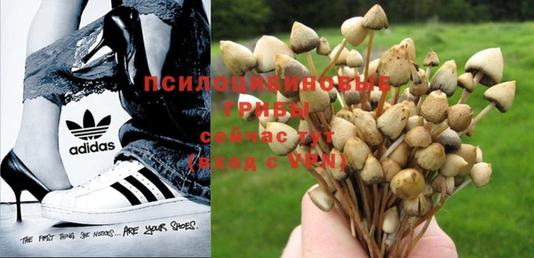 кристаллы Абаза