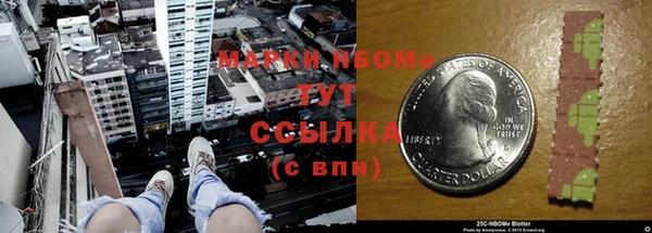 гашик Нефтекумск